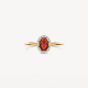 BLUSH 1271YGA GEELGOUDEN RING MET MOZAMBIQUE GRANAAT EN ZIRKONIA BLUSH 1271YGA GEELGOUDEN RING MET MOZAMBIQUE GRANAAT EN ZIRKONIA