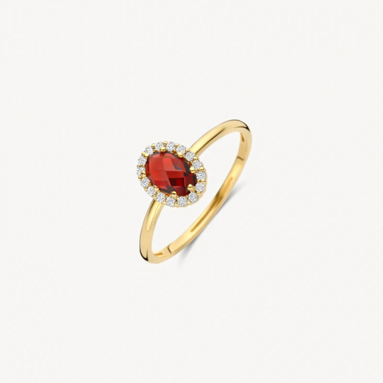 BLUSH 1271YGA GEELGOUDEN RING MET MOZAMBIQUE GRANAAT EN ZIRKONIA BLUSH 1271YGA GEELGOUDEN RING MET MOZAMBIQUE GRANAAT EN ZIRKONIA