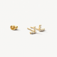 BLUSH 7374YZI GEELGOUDEN OORKNOPPEN ZIRKONIA BLUSH 7374YZI GEELGOUDEN OORKNOPPEN ZIRKONIA