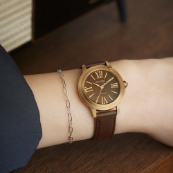 CITIZEN EM1163-09X DAMESHORLOGE ECO-DRIVE VERGULD STAAL