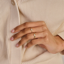 BLUSH 1274YZI GEELGOUDEN RING ZIRKONIA