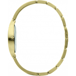 DANISH DESIGN IV05Q1289 DAMESHORLOGE VERGULD TITANIUM ANNAROSA