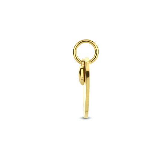 HUISCOLLECTIE 4023647 GOUDEN GRAVEERPLAATJE ROND HUISCOLLECTIE 4023647 GOUDEN GRAVEERPLAATJE ROND