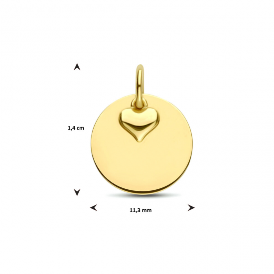 HUISCOLLECTIE 4023647 GOUDEN GRAVEERPLAATJE ROND HUISCOLLECTIE 4023647 GOUDEN GRAVEERPLAATJE ROND