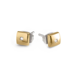 BOCCIA 05050-03 TITANIUM OORSTEKERS VERGULD DIAMANT