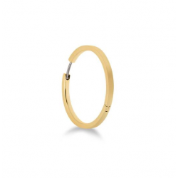 BOCCIA 0516-07 VERGULDE TITANIUM  OORRINGEN