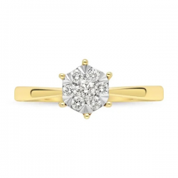 PAS DIAMONDS GF1989 14K GOUDEN CLUSTER SOLITAIRRING MET NATUURLIJKE DIAMANT PAS DIAMONDS GF1989 14K GOUDEN CLUSTER SOLITAIRRING MET NATUURLIJKE DIAMANT