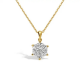 PAS DIAMONDS GF2049 14K GOUDEN COLLIER EN CLUSTER SOLITAIRHANGER MET NATUURLIJKE DIAMANT