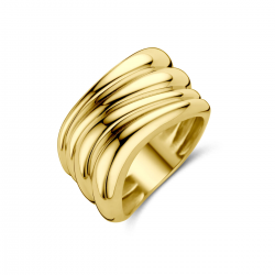 THE HOUSE OF JEWELS 4034496 GOUDEN RING