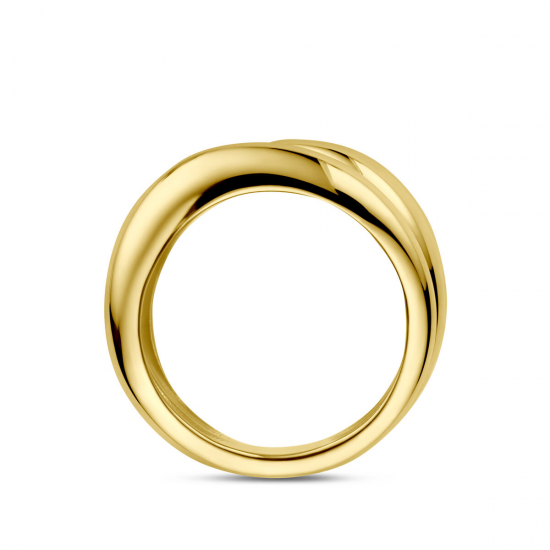 THE HOUSE OF JEWELS 4034496 GOUDEN RING THE HOUSE OF JEWELS 4034496 GOUDEN RING
