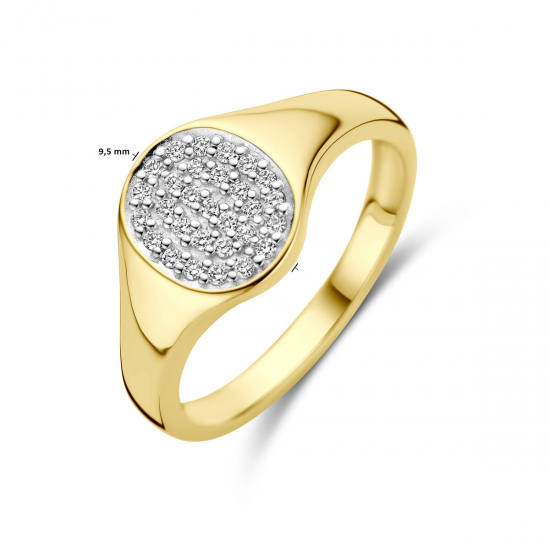 THE HOUSE OF JEWELS 4031430 GOUDEN RING MET NATUURLIJKE DIAMANT