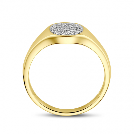 THE HOUSE OF JEWELS 4031430 GOUDEN RING MET NATUURLIJKE DIAMANT