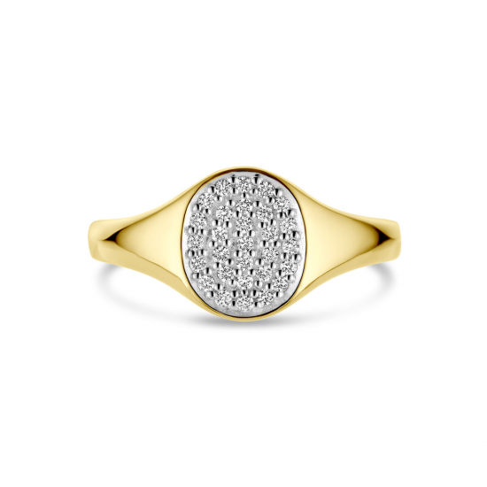 THE HOUSE OF JEWELS 4031430 GOUDEN RING MET NATUURLIJKE DIAMANT
