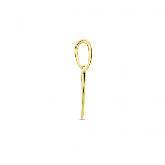 THE HOUSE OF JEWELS 4022979 GOUDEN HANGER GRAVEERPLAATJE HART