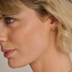 BLUSH 7379YGO GEELGOUDEN OORRINGEN OVAAL