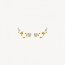 BLUSH 7377YZI GEELGOUDEN OORKNOPPEN ZIRKONIA