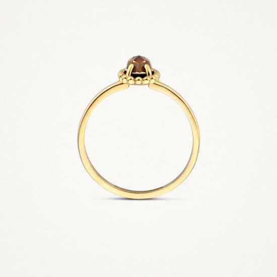 BLUSH 1272YBQ GEELGOUDEN RING MET PARELMOER EN BERGKRISTAL