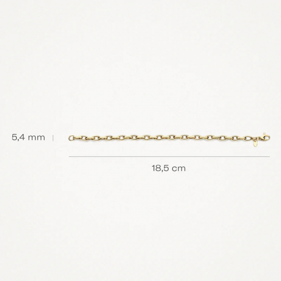 BLUSH 2263YGO GEELGOUDEN ARMBAND OVALE JASSERON