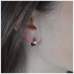 BOCCIA 05045-04 TITANIUM OORRINGEN BICOLOR DIAMANT