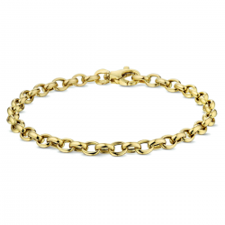 THE HOUSE OF JEWELS 4017204 GOUDEN ARMBAND JASSERON