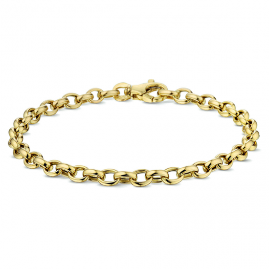 THE HOUSE OF JEWELS 4017204 GOUDEN ARMBAND JASSERON