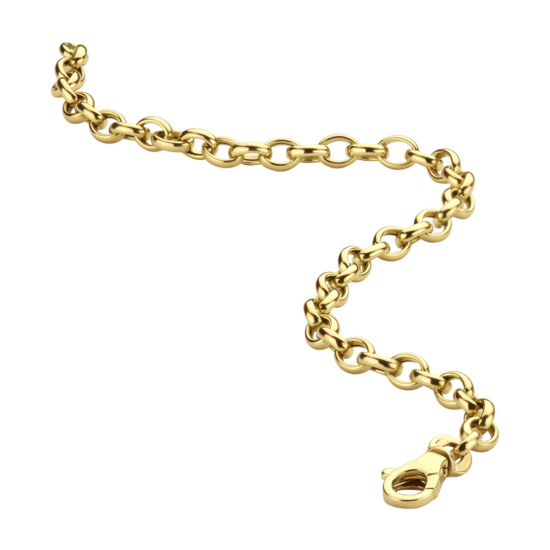 THE HOUSE OF JEWELS 4017204 GOUDEN ARMBAND JASSERON