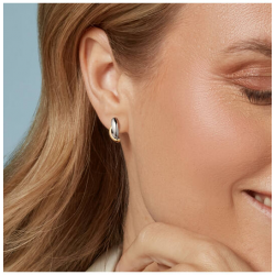 BOCCIA 05103-02 VERGULD TITANIUM BICOLOR OORSTEKERS