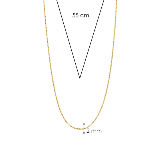TI SENTO 34083SY VERGULD ZILVEREN COLLIER 55 CM.