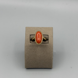 14KT GOUDEN RING MET BLOEDKORAAL