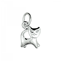 HUISCOLLECTIE 1003704 ZILVEREN HANGER POES