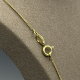 14 Karaat Geelgouden Gourmetschakel Collier