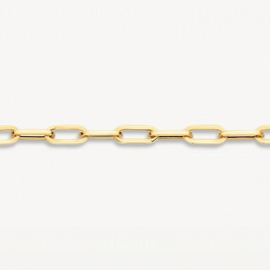 BLUSH 2190YGO GEELGOUDEN ARMBAND CLOSED FOREVER