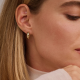 BLUSH  7389YGO GEELGOUDEN OORRINGEN
