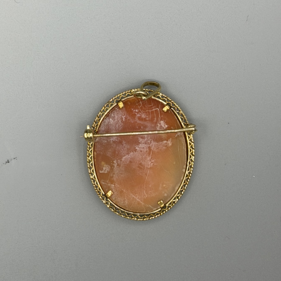 14k Gouden Camee Broche & Hanger
