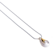GALA DESIGN J0141 ZILVEREN COLLIER MET ZILVEREN VERGULDE HANGER CYLINDER