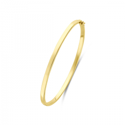 SILGOLD 5000388 14 KARAAT GEELGOUDEN BANGLE MET ZILVEREN KERN
