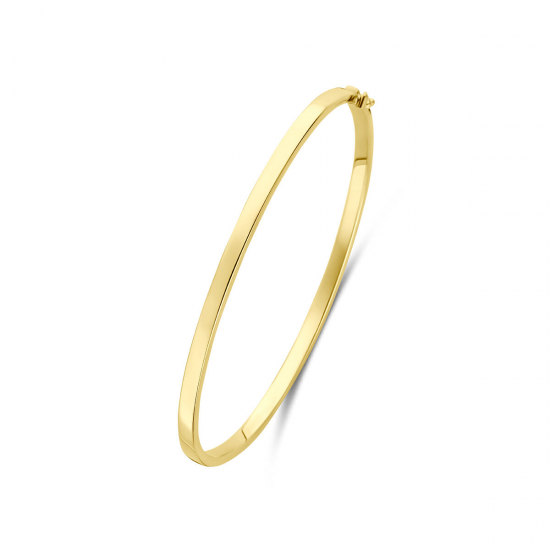 SILGOLD 5000388 14 KARAAT GEELGOUDEN BANGLE MET ZILVEREN KERN
