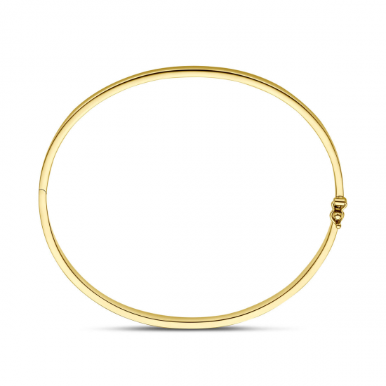SILGOLD 5000388 14 KARAAT GEELGOUDEN BANGLE MET ZILVEREN KERN