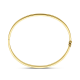 SILGOLD 5000388 14 KARAAT GEELGOUDEN BANGLE MET ZILVEREN KERN
