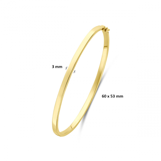 SILGOLD 5000388 14 KARAAT GEELGOUDEN BANGLE MET ZILVEREN KERN