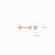 BLUSH LG7036Y GOUDEN OORKNOPPEN MET LAB GROWN DIAMOND 0.20CT