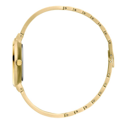 DANISH DESIGN IV05Q1277 DAMESHORLOGE VERGULD TITANIUM TIARA