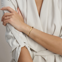 SILGOLD 5000379 14 KARAAT GEELGOUDEN BANGLE MET ZILVEREN KERN