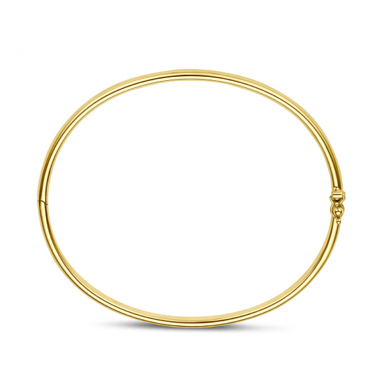 SILGOLD 5000379 14 KARAAT GEELGOUDEN BANGLE MET ZILVEREN KERN