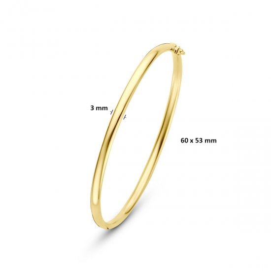 SILGOLD 5000379 14 KARAAT GEELGOUDEN BANGLE MET ZILVEREN KERN