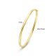 SILGOLD 5000379 14 KARAAT GEELGOUDEN BANGLE MET ZILVEREN KERN