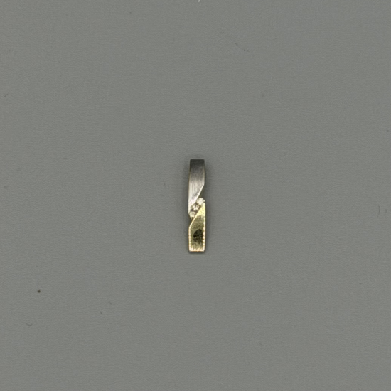 14k Bicolor Gouden Hanger met Diamant