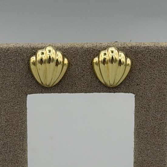 14k Gouden Schelp Oorknopjes