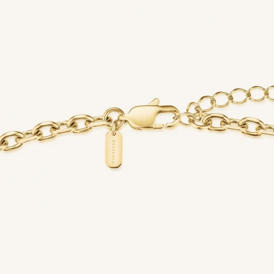 ROSEFIELD JNSBG-J1285 VERGULD STALEN COLLIER MET HANGER ZIRKONIA STRIPED PENDANT