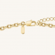 ROSEFIELD JNSBG-J1285 VERGULD STALEN COLLIER MET HANGER ZIRKONIA STRIPED PENDANT
